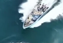 falaina kina 1200x630.jpg