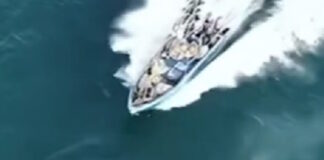 falaina kina 1200x630.jpg