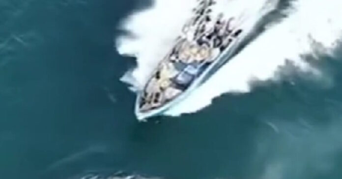 falaina kina 1200x630.jpg falaina kina 1200x630.jpg