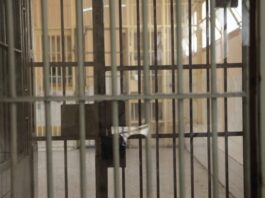 filakes 1200x630.jpg