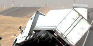 fortigo 1200x630.jpg