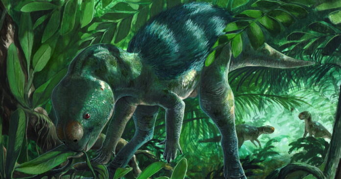 foskeia paul martina 16 03 25 1200x630.jpg foskeia paul martina 16 03 25 1200x630.jpg