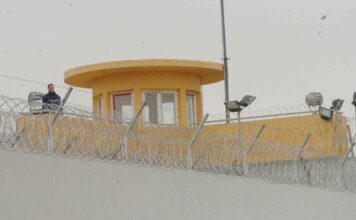 fulakes domokou eurok 1 1200x630.jpg