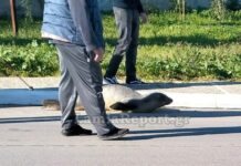 fwkia fthiwtida 1200x630.jpg