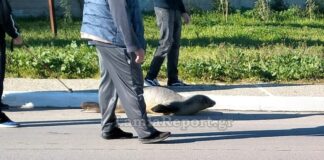 fwkia fthiwtida 1200x630.jpg