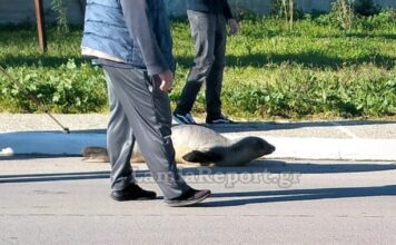 fwkia fthiwtida 1200x630.jpg