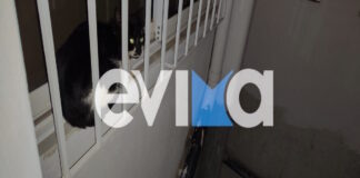 gata2 26022026 1200x630.jpg