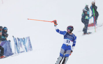 ginnis 1 1200x630.jpg