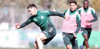 hernandez 1 1200x630.jpg