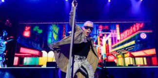 iron maiden ape 1200x630.jpg