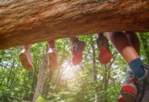 istock 2177333787 1 1200x630.jpg