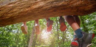 istock 2177333787 1 1200x630.jpg