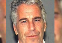jeffrey epstein ape 1 1200x630.jpg