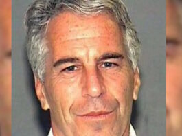 jeffrey epstein ape 1 1200x630.jpg
