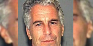 jeffrey epstein ape 1 1200x630.jpg