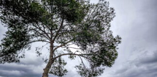 kairos 100 1 1200x630.jpg