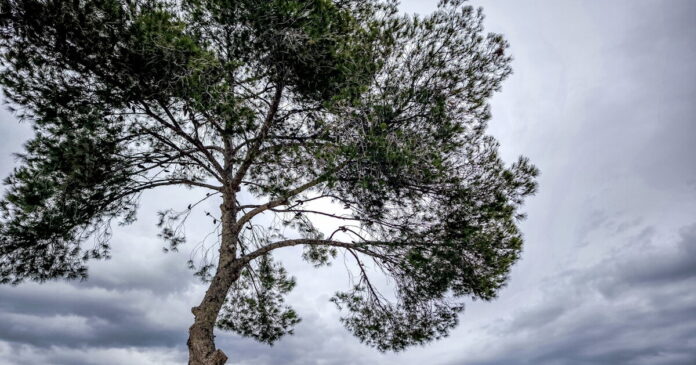 kairos 100 1 1200x630.jpg kairos 100 1 1200x630.jpg