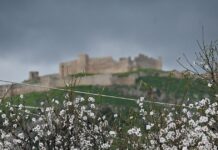 kairos 16 1200x630.jpg