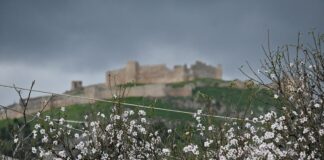 kairos 16 1200x630.jpg