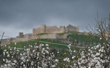 kairos 16 1200x630.jpg