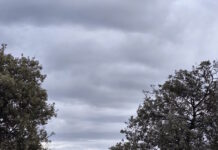 kairos 8 1200x630.jpg