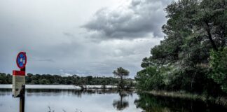 kairos plimmira 1200x630.jpg