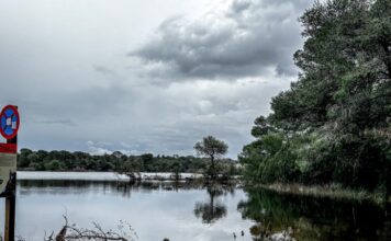 kairos plimmira 1200x630.jpg
