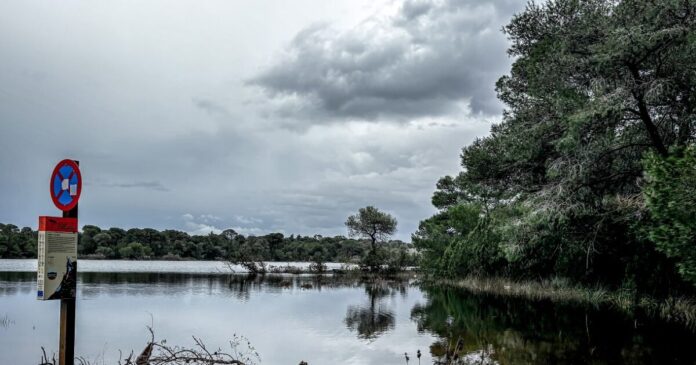 kairos plimmira 1200x630.jpg