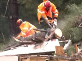 kakokairia hleia 5 1200x630.jpg