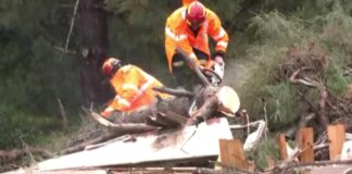 kakokairia hleia 5 1200x630.jpg