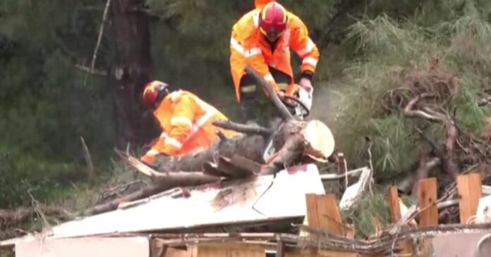 kakokairia hleia 5 1200x630.jpg kakokairia hleia 5 1200x630.jpg