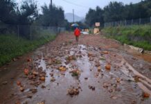 kakokairia kalamata 1 1200x630.jpg