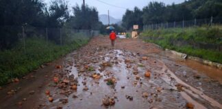 kakokairia kalamata 1 1200x630.jpg