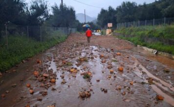 kakokairia kalamata 1 1200x630.jpg