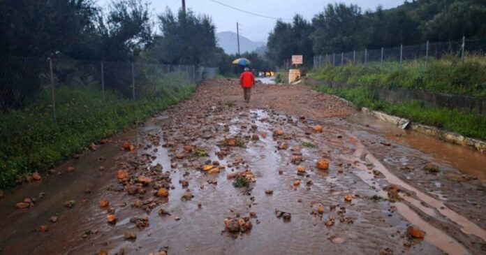 kakokairia kalamata 1 1200x630.jpg