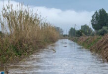 kakokairia nero 1200x630.jpg