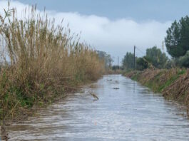 kakokairia nero 1200x630.jpg