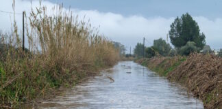 kakokairia nero 1200x630.jpg