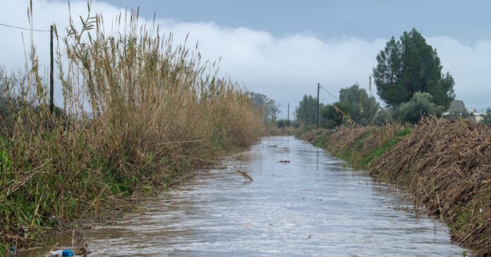 kakokairia nero 1200x630.jpg