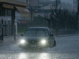 kakokairia plummira 1200x630.jpg