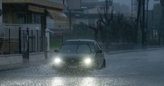 kakokairia plummira 1200x630.jpg