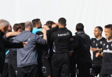 kalamata 1200x630.jpg