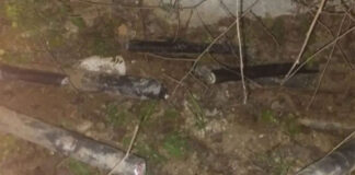 kalogia doc kyranakis1 1200x630.jpg