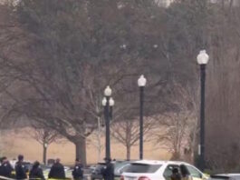 kapitolio 17022026 1200x630.jpg