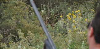 karampina eurok 1200x675 1 1200x630.jpg