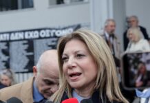 Καρυστιανού για αγροτικό συλλαλητήριο – «Η κοινωνία μίλησε: Κάθαρση παντού» karystianou 1 1200x630.jpg