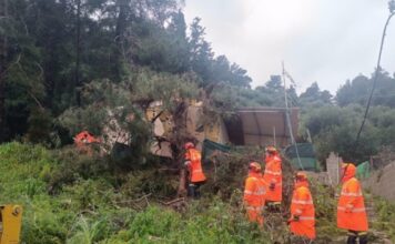 katakolo kakokairia 4 1200x630.jpg