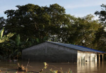 kolomvia plimmira r5 1200x630.jpg