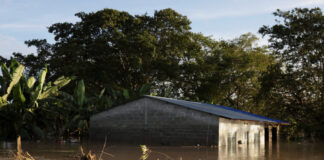 kolomvia plimmira r5 1200x630.jpg