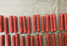 krotida eurok 1200x630.jpg